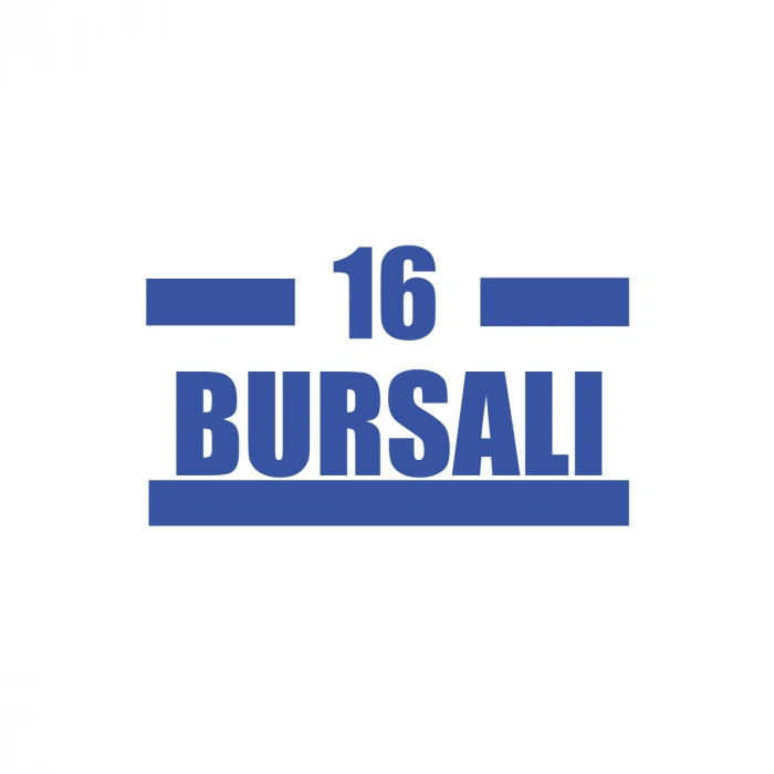 16 Bursalı Araba Sticker 17x17 Cm Mavi