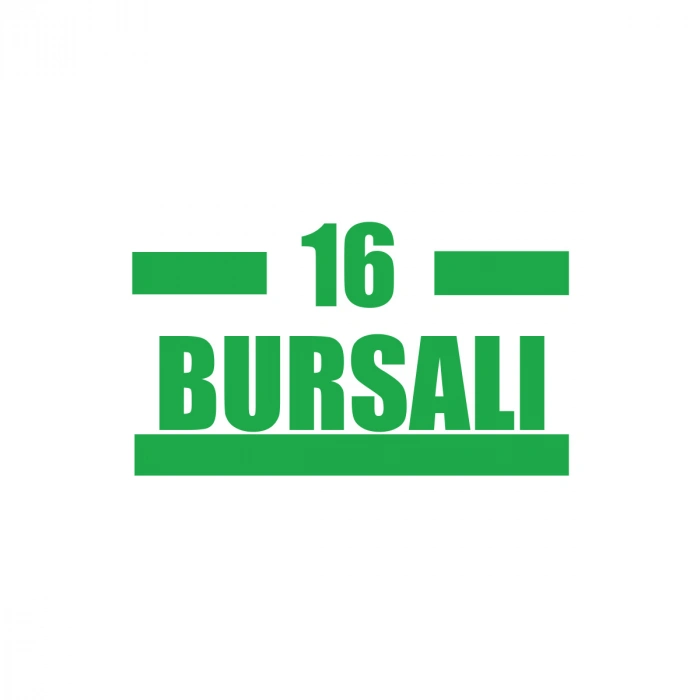 16 Bursalı Araba Sticker 17x17 Cm Yeşil