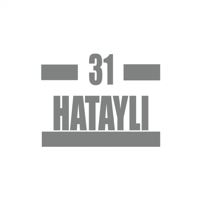 31 Hataylı Araba Sticker 17x17 Cm Gri