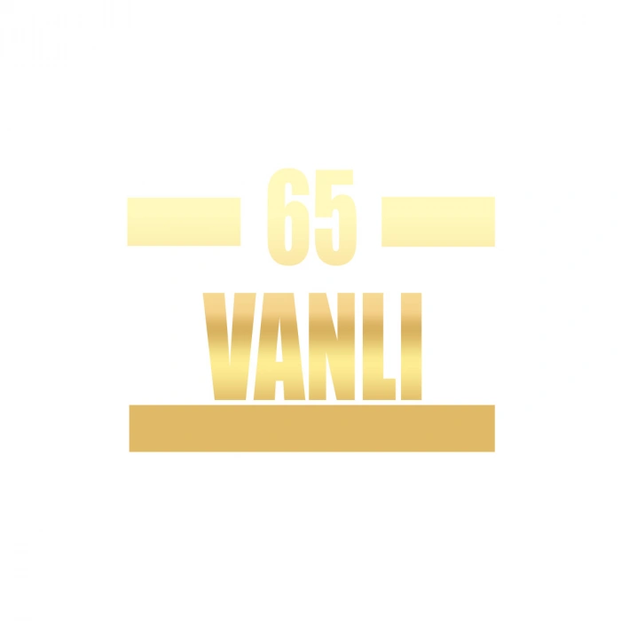 65 Vanlı Araba Sticker 17x17 Cm Gold