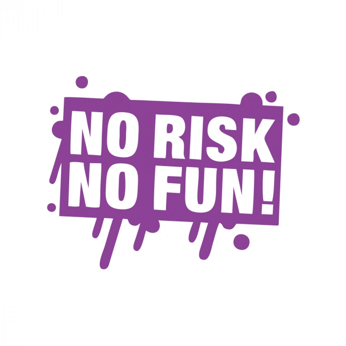 No Risk No Fun Araba Sticker 17x17 Cm Mor