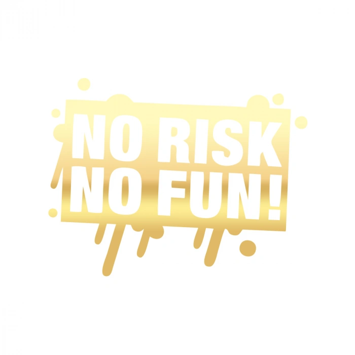 No Risk No Fun Araba Sticker 17x17 Cm Gold