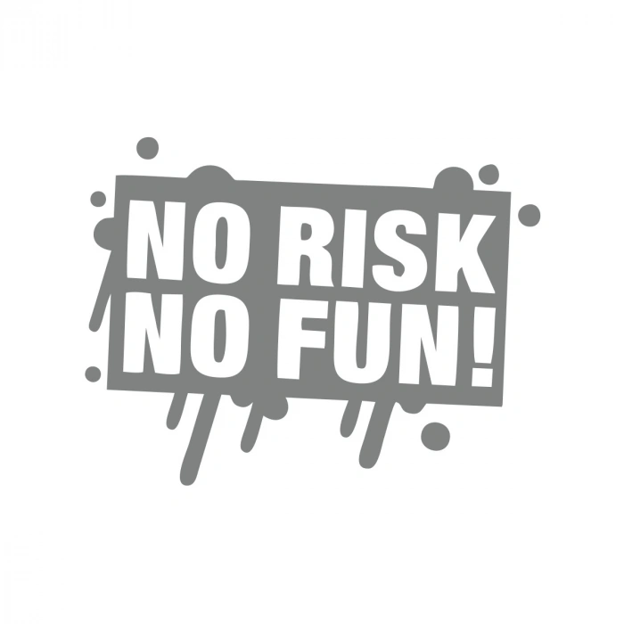 No Risk No Fun Araba Sticker 17x17 Cm Gri