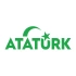 Atatürk yazısı ve Ayyıldız Sticker17x17 Cm Yeşil