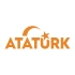 Atatürk yazısı ve Ayyıldız Sticker17x17 Cm Turuncu