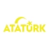 Atatürk yazısı ve Ayyıldız Sticker17x17 Cm Sarı