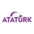 Atatürk yazısı ve Ayyıldız Sticker17x17 Cm Mor