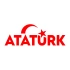 Atatürk yazısı ve Ayyıldız Sticker17x17 Cm Kırmızı