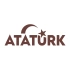 Atatürk yazısı ve Ayyıldız Sticker17x17 Cm Kahverengi