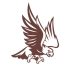 Kartal Sticker17x17 Cm Kahverengi