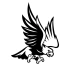 Kartal Sticker17x17 Cm Siyah