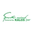 Sports Mind CHEVROLET KALOS Sports Sticker 17x17 Cm Yeşil