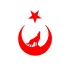 Bozkurt Türk Bağyrağı Sticker 17x17 Cm Kırmızı