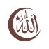 Türk Bayrağı ve Allah Sticker 17x17 Cm Kahverengi