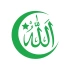Türk Bayrağı ve Allah Sticker 17x17 Cm Yeşil