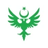 Çift Başlıklı Kartal ve Ay Yıldız Sticker 17x17 Cm Yeşil