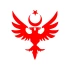 Çift Başlıklı Kartal ve Ay Yıldız Sticker 17x17 Cm Kırmızı