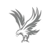 Kartal Araba Sticker 17x17 Cm Gri