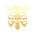İskelet Araba Sticker 17x17 Cm Gold