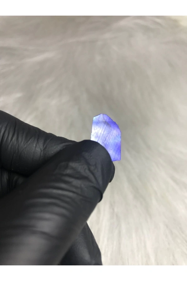 12 Renk Sedefli Deniz Kabuğu Nail Art Süsleme Seti