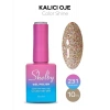 Shelby Kalıcı Simli Oje 231 – 10 ml (Color Shine Serisi)