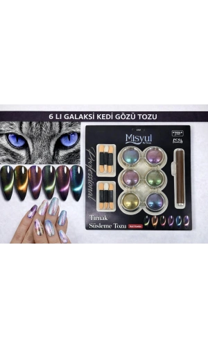 6’lı Galaksi Kedi Gözü Tırnak Süsleme Tozu Seti (Manyetik Efekt – Aplikatörlü)