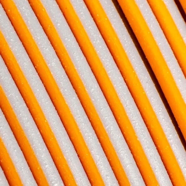 Polymaker Panchroma PLA Dual Filament