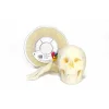 Innovatefil ABS Medikal Filament