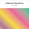 Flashforge High Speed Rainbow PLA Filament - Iridescent Symphony