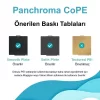 Polymaker Panchroma CoPE Filament - Beyaz