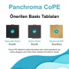 Polymaker Panchroma CoPE Filament - Kahverengi