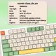 CIDOO ABM084 Esports RGB Mekanik 3 Mode Kablosuz Klavye (GRI YEŞİL)
