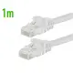Steep Solid 1m Cat6 Patch UTP - İnternet Kablosu