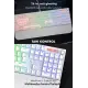 Apex Rainbow 11Mod Aydınlatma Kablolu TR Double Shot Full Anti-Ghosting Mekanik Oyuncu Klavyesi