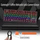 GAMEAGLE FULLFLEX MK-89X1B Mekanik Kablolu Işıklı Türkçe Q Klavye (Red Switch)