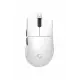 Iceberg RGB Kablosuz 2.4Ghz+Bluetooth+Kablolu+Dock Şarj İstasyonlu 55gr 1K Hz 12800DPI Oyuncu Mouse