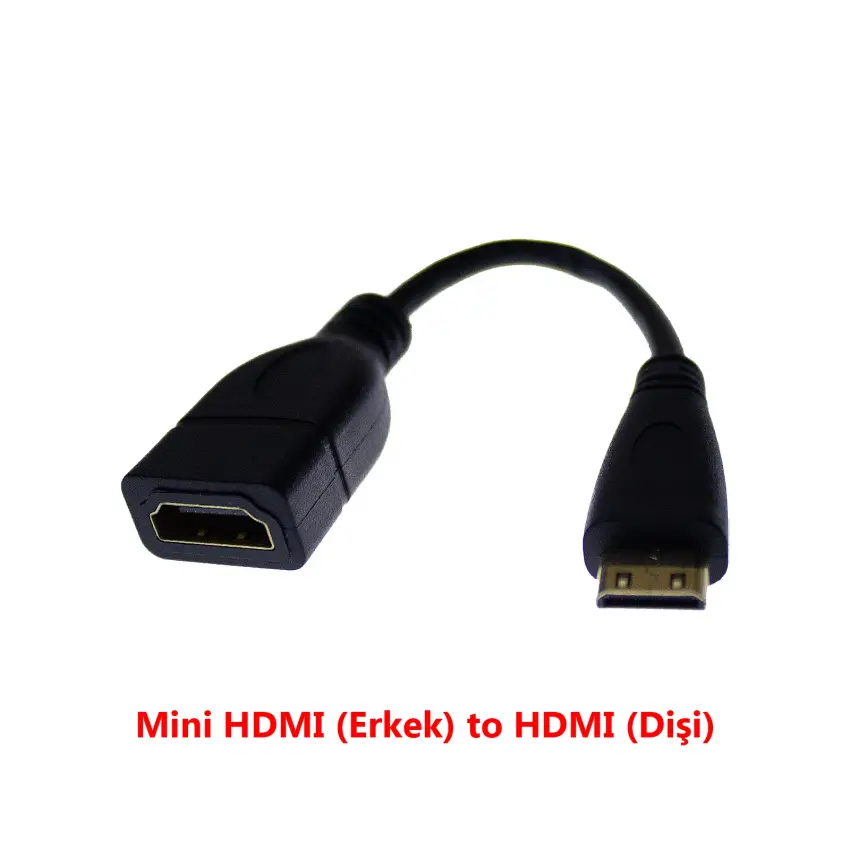 Mini HDMI to HDMI Altın Uçlu Kablolu Dönüştücü