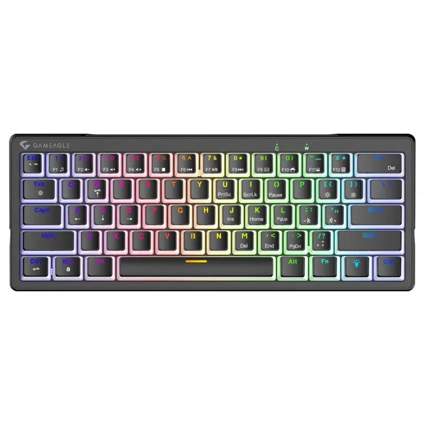 Poseidon RGB Kablolu 12 Mod RGB US Layout Double Shot Full Anti-Ghosting Mekanik Oyuncu Klavyesi