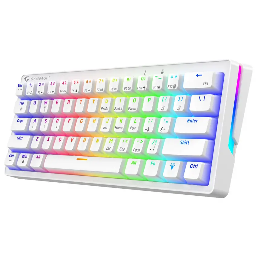Poseidon RGB Kablolu 12 Mod RGB US Layout Double Shot Full Anti-Ghosting Mekanik Oyuncu Klavyesi