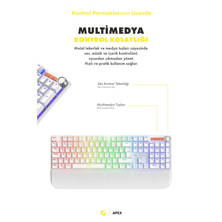 Apex Rainbow 11Mod Aydınlatma Kablolu TR Double Shot Full Anti-Ghosting Mekanik Oyuncu Klavyesi