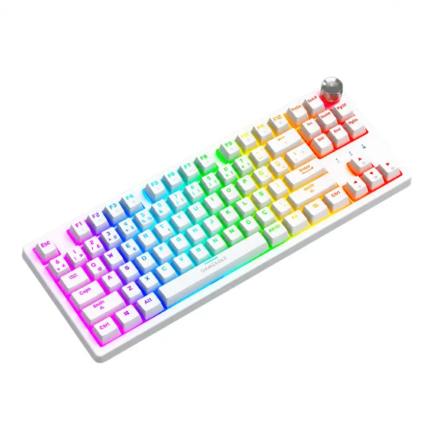 Gameagle Dryo RGB Kablolu TR Layout Mekanik Oyuncu Klavyesi Beyaz