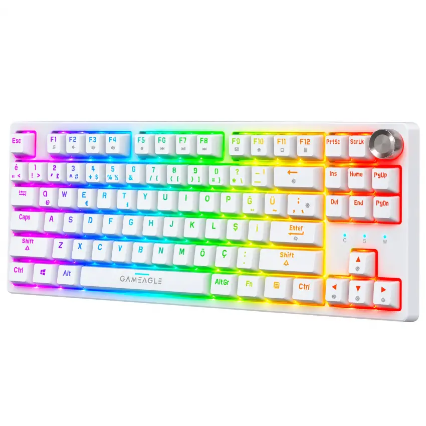 Gameagle Dryo RGB Kablolu TR Layout Mekanik Oyuncu Klavyesi Beyaz
