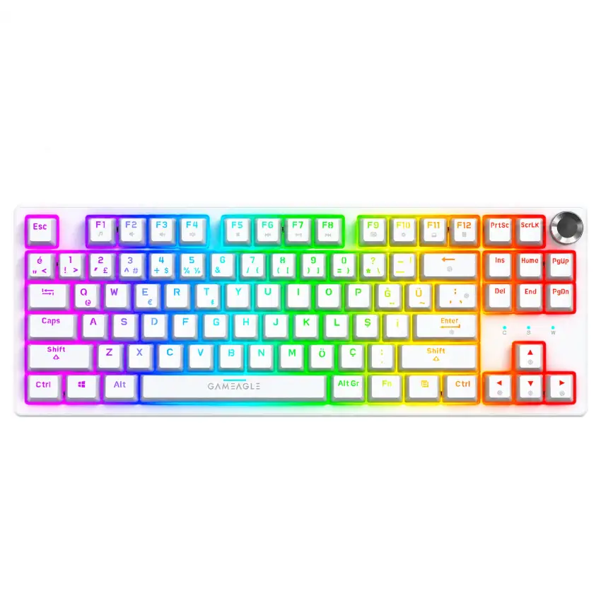 Gameagle Dryo RGB Kablolu TR Layout Mekanik Oyuncu Klavyesi Beyaz