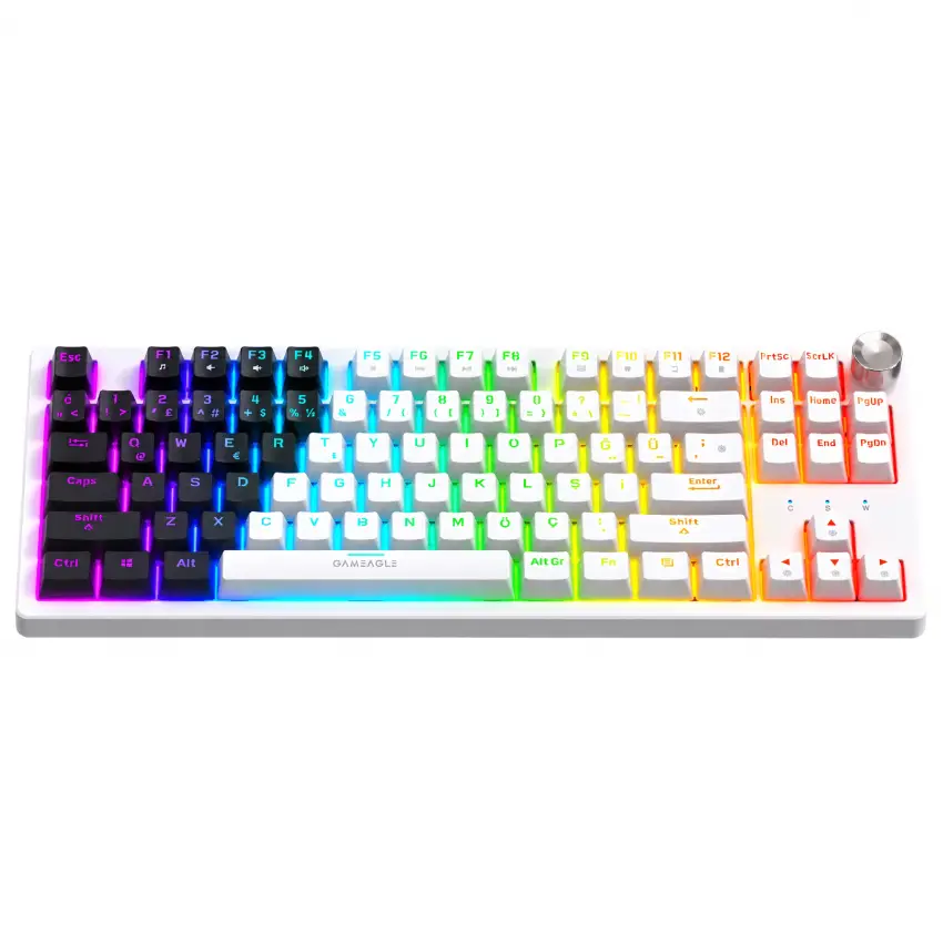 Gameagle Dryo RGB Kablolu TR Layout Mekanik Oyuncu Klavyesi Siyah - Beyaz