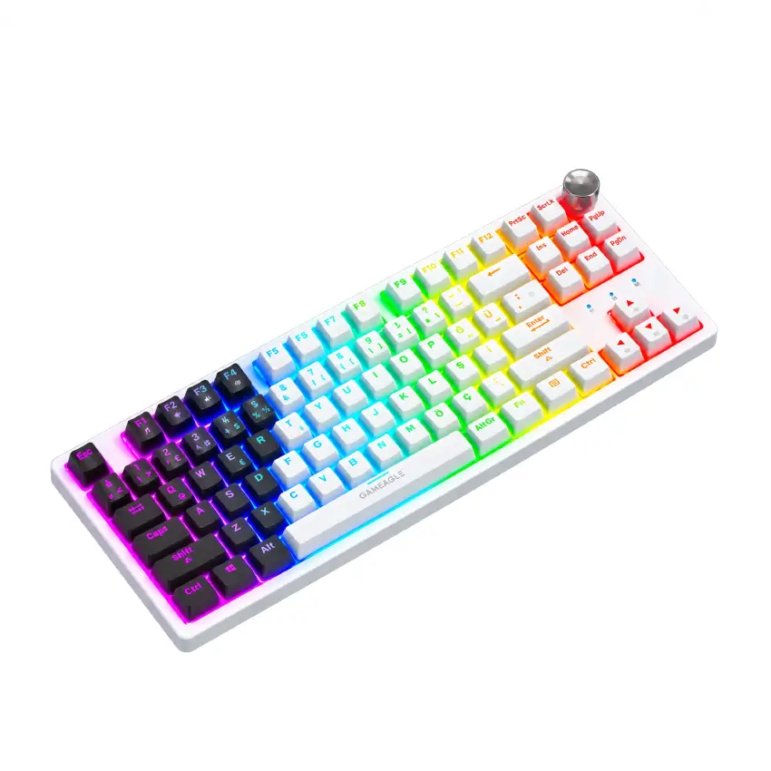 Gameagle Dryo RGB Kablolu TR Layout Mekanik Oyuncu Klavyesi Siyah - Beyaz