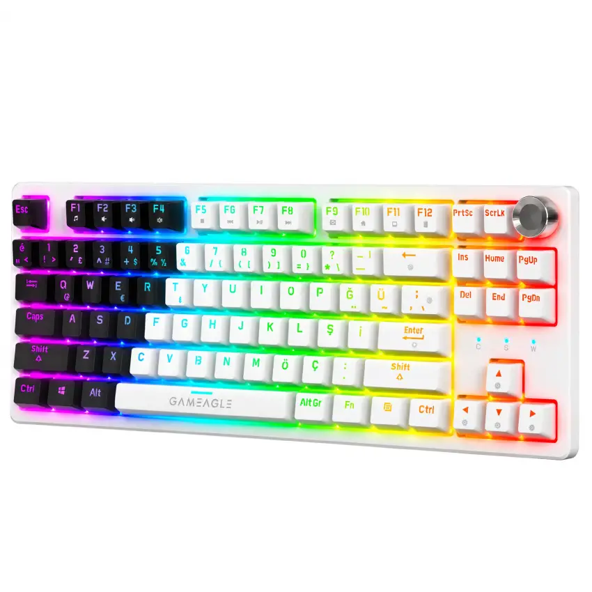 Gameagle Dryo RGB Kablolu TR Layout Mekanik Oyuncu Klavyesi Siyah - Beyaz