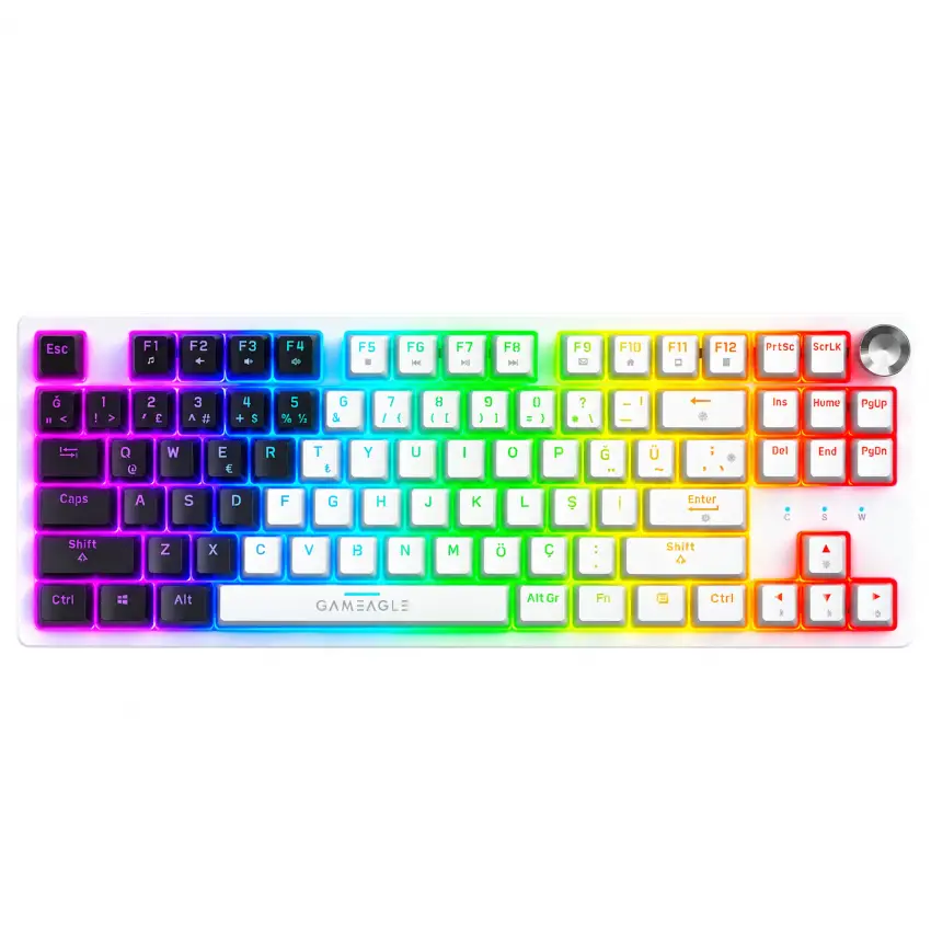 Gameagle Dryo RGB Kablolu TR Layout Mekanik Oyuncu Klavyesi Siyah - Beyaz