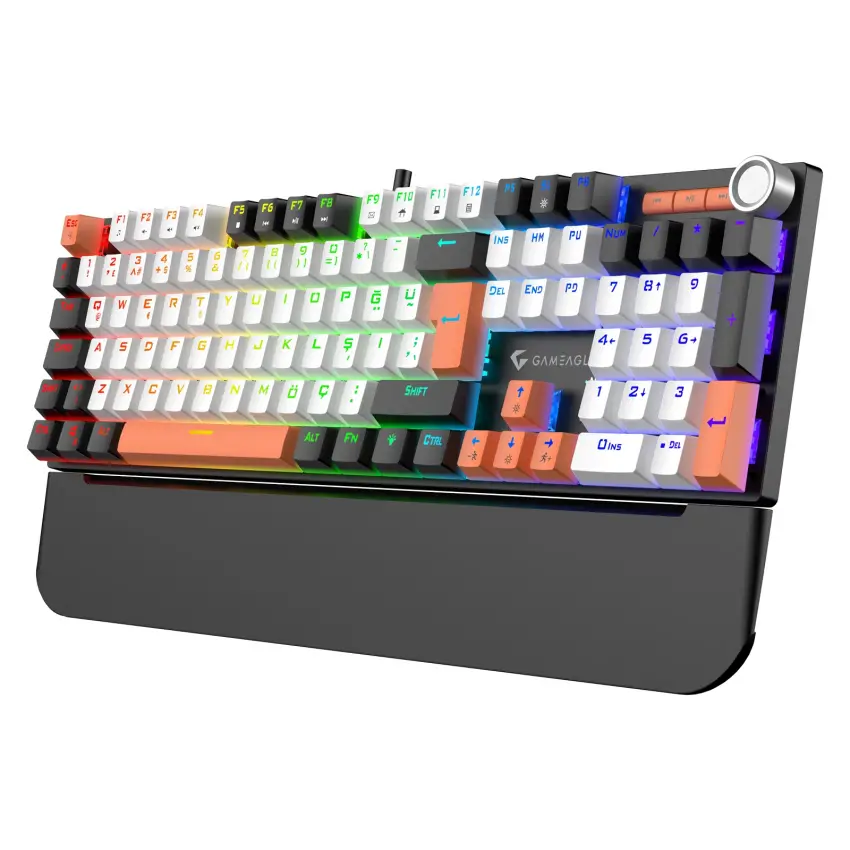 Gameagle Apex Elite Rainbow 11Mod Aydınlatma Kablolu TR DoubleShot Full Anti-Ghosting Mekanik Oyuncu Klavyesi