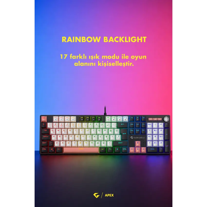 Gameagle Apex Elite Rainbow 11Mod Aydınlatma Kablolu TR DoubleShot Full Anti-Ghosting Mekanik Oyuncu Klavyesi