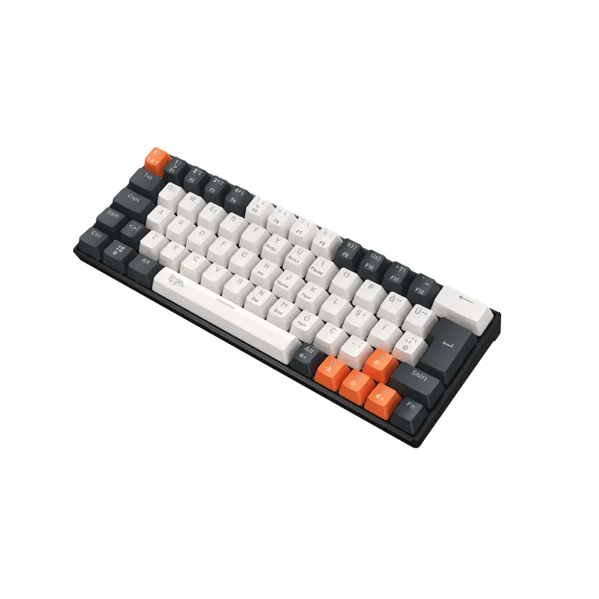 Gameagle Neopulse MK-64X2ABR Mekanik Işıklı Gamer Klavye